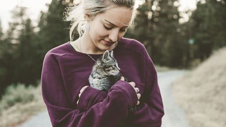 Los felinos ayudan emocionalmente a los humanos. Foto: Unsplash