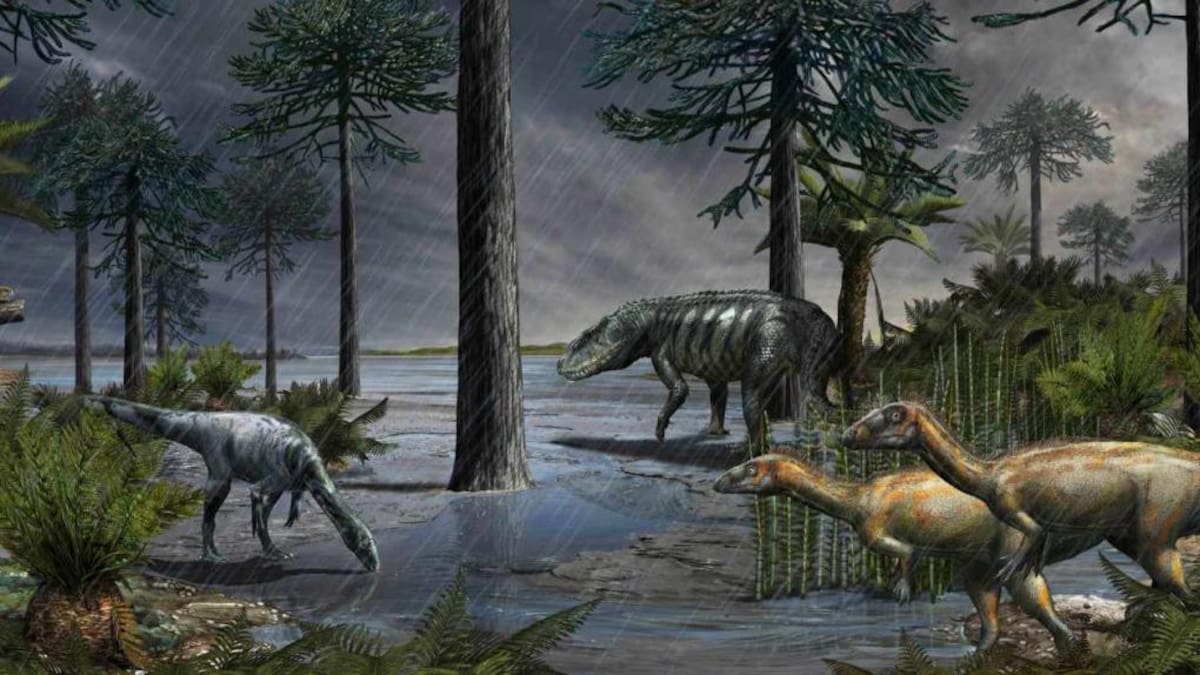 Dinosaurios