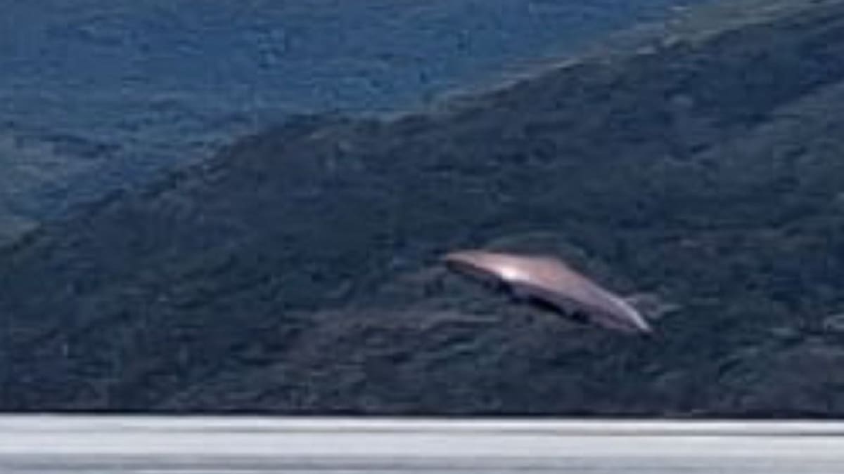La Unión Europea analiza con discreción los reportes sobre fenómenos anómalos no identificados en el cielo y el espacio cercano.