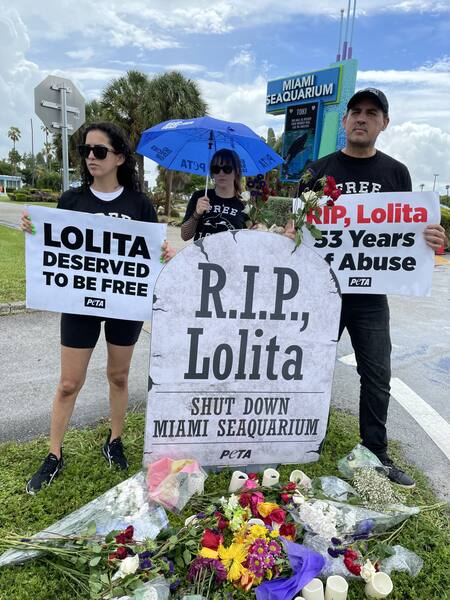 Activistas protestan por la muerte de Lolita. Foto: Twitter PETA