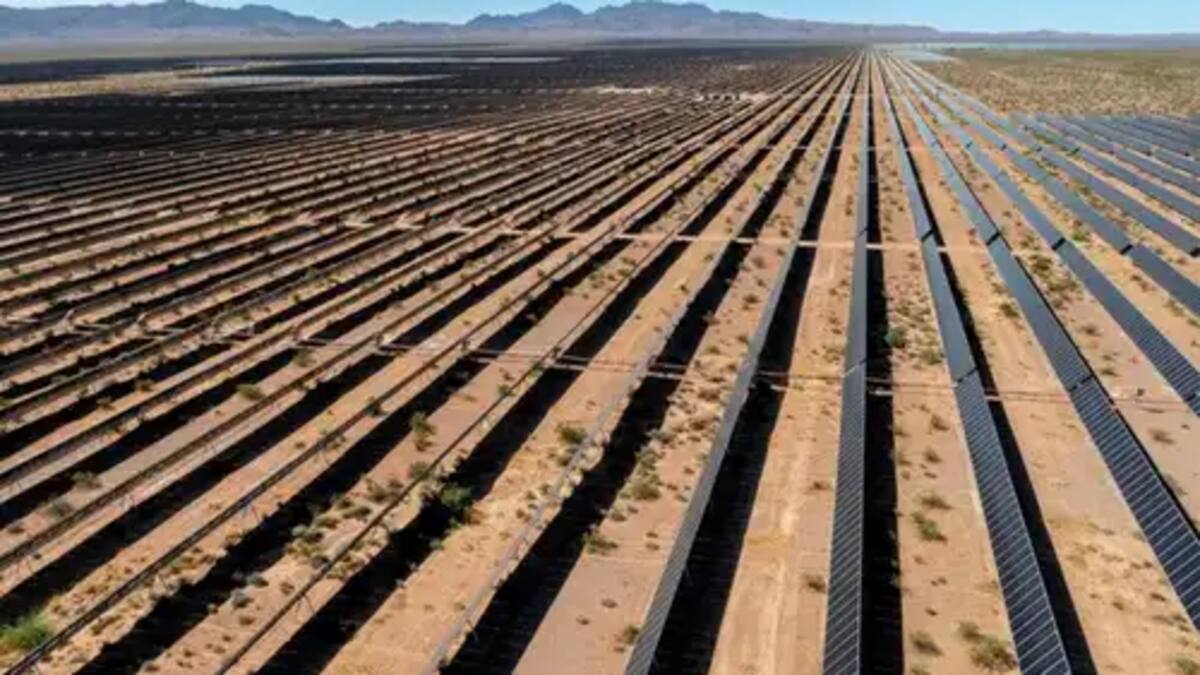 Fue símbolo de energía limpia en Estados Unidos, pero cerró tras años de críticas ambientales: la acusaban de quemar pájaros en pleno vuelo