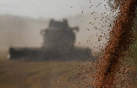 Cosecha de trigo. Foto: Reuters