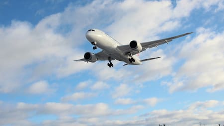 Quién es María del Carmen Patané, la azafata acusada de intentar contrabandear bienes por $58 millones