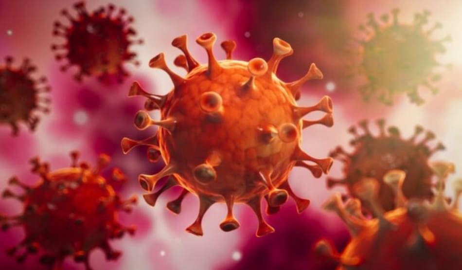 Coronavirus. Foto: NA.