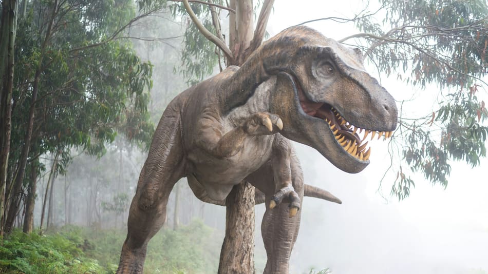 Dinosaurio. Foto: Unsplash.