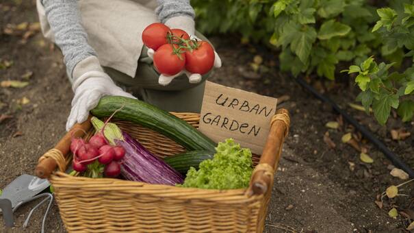Cómo armar una huerta en tu departamento: consejos para cultivar tus propias verduras en el balcón