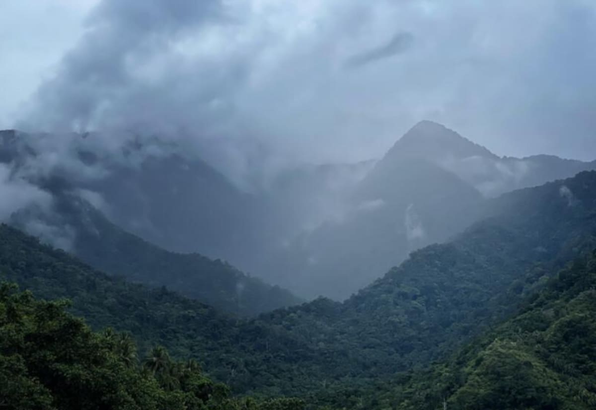 La equidna de Attenborough volvió a aparecer después de 62 años.