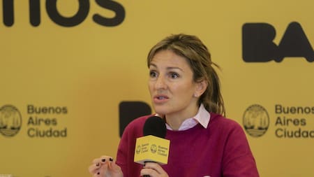 Soledad Acuña, CABA, Gobierno, NA