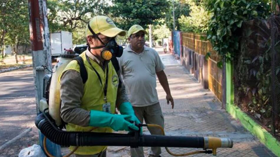 Dengue, fumigación en Paraná, TWITTER