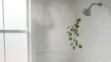 No es por moda: por qué deberías colgar un ramo de eucalipto en la ducha