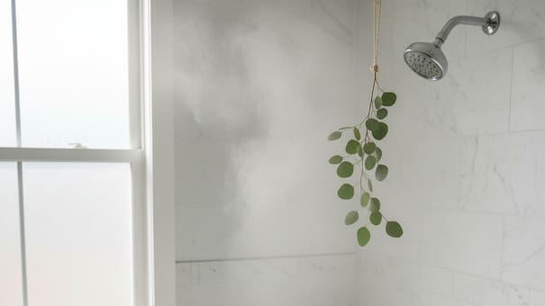 No es por moda: por qué deberías colgar un ramo de eucalipto en la ducha