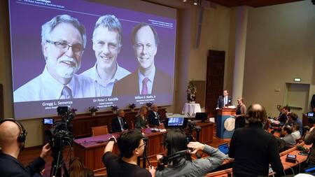 Premio Nobel, medicina, William Kaelin, Gregg Semenza y Sir Peter Ratcliffe