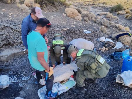 Tareas de excavación donde encontraron restos fósiles de un ictiosaurio en Neuquén. Foto: argentina.gob.ar