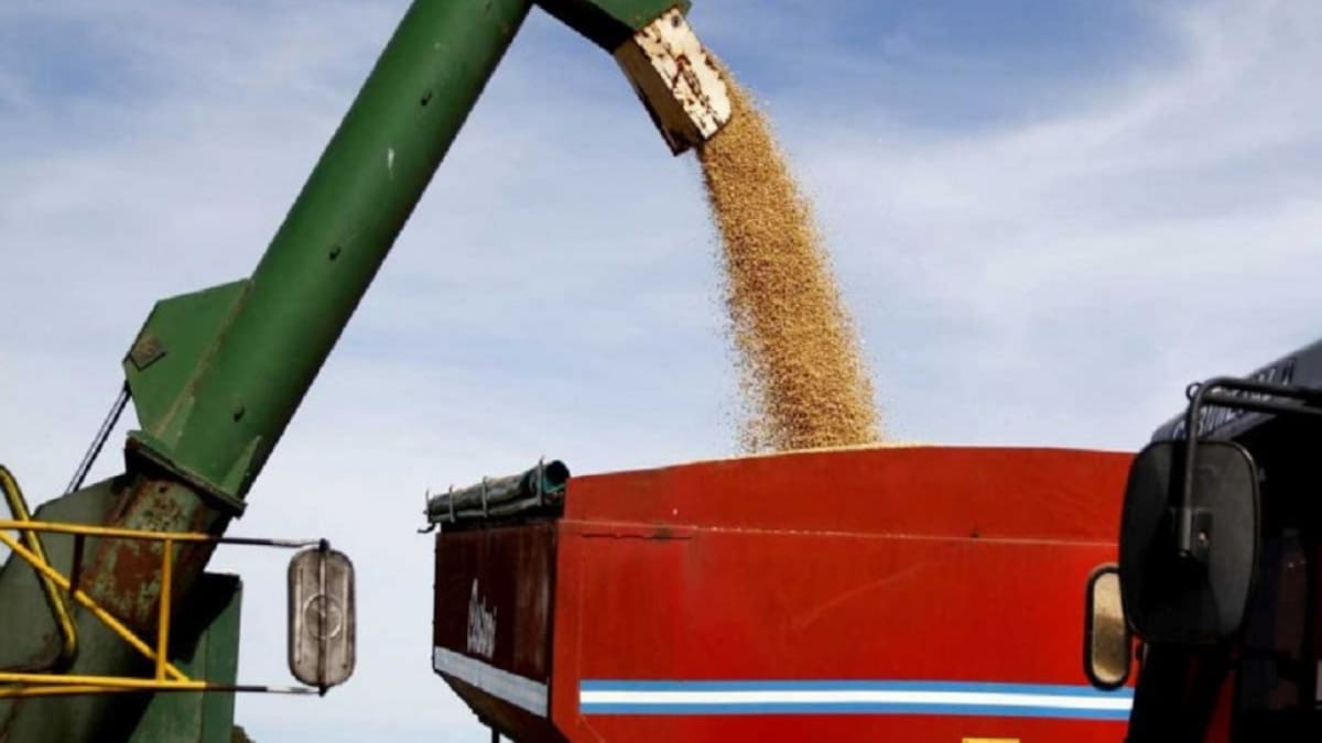 Dólar agro: el Gobierno incorporó maíz y cebada cervecera al tipo de cambio diferencial