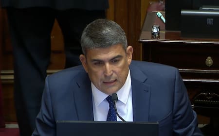 Daniel Pablo Bensusán, senador del PJ