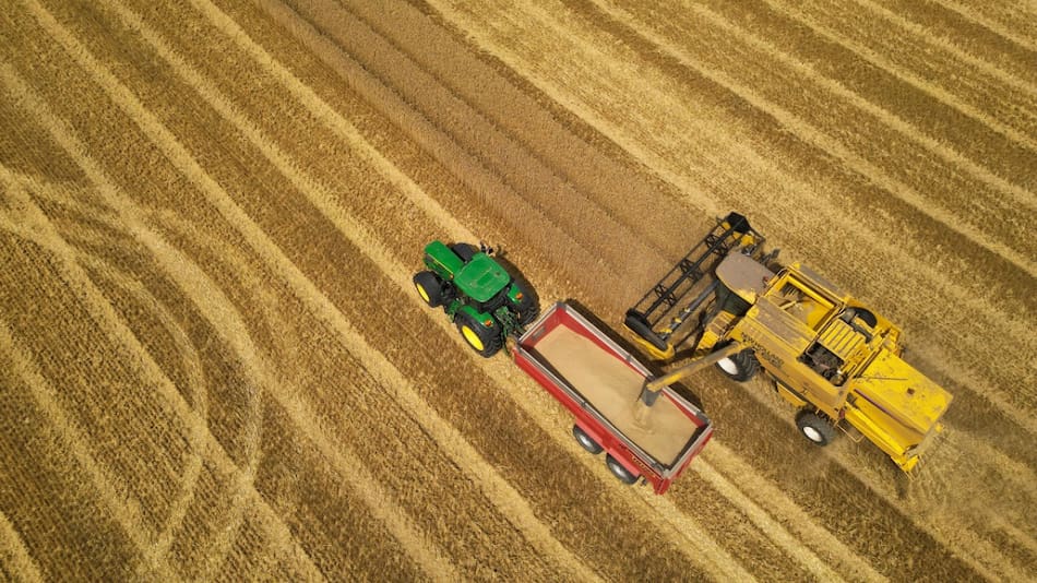 Cosecha de trigo. Foto: Reuters