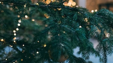 La tendencia europea para renovar el árbol de Navidad: más moderno, barato y alejado del estilo tradicional