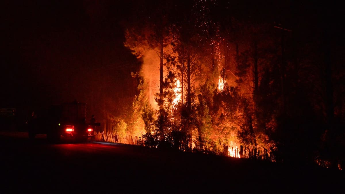 Incendios en El Bolsón. Foto: Reuters/Marcelo Martinez