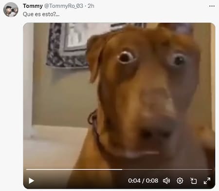 Los memes por María Becerra. Foto: Twitter.