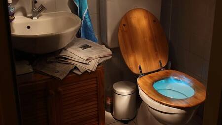 Inodoro del ex futbolista Charlie Villanueva