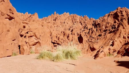 Cuevas de Acsibi, en Salta. Foto: www.cuevasdeacsibi.com.ar.