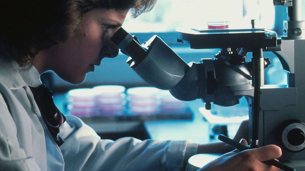 Imagen ilustrativa científica realizando pruebas de laboratorio. Foto: Unsplash