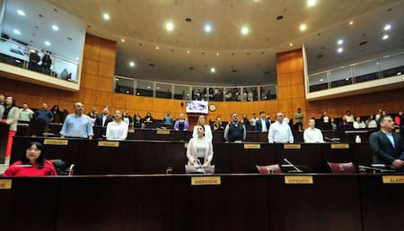 Legislatura de Neuquén. Foto: x @LegislaturaNqn.