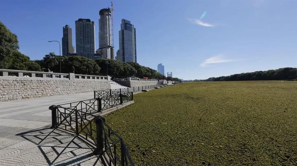 Reserva Ecológica de la Ciudad de Buenos Aires . Foto: Google Maps