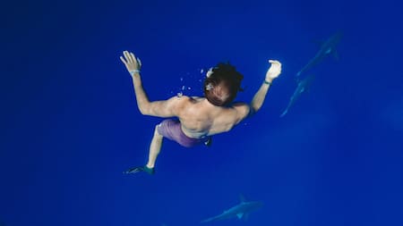 La expedición de buceo fue fallida y la lancha se hundió. Foto: Unsplash.