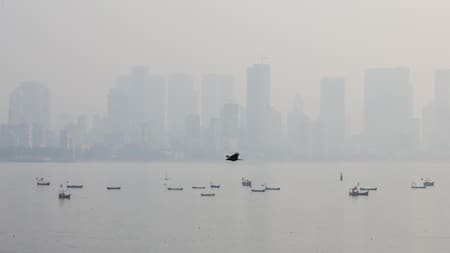 Nueva Delhi entre las ciudades con la peor calidad del aire del mundo, según IQAir. Foto:EFE.