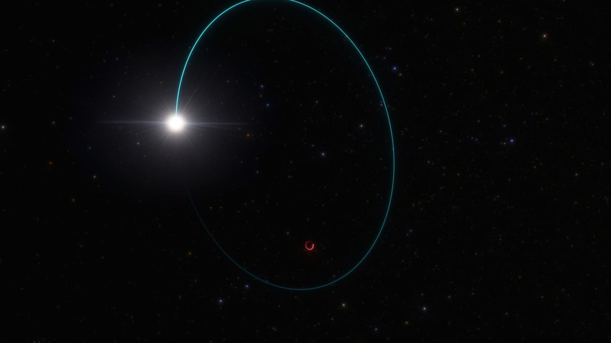 Astrónomos detectan el segundo mayor agujero negro conocido de la Vía Láctea. Reuters.