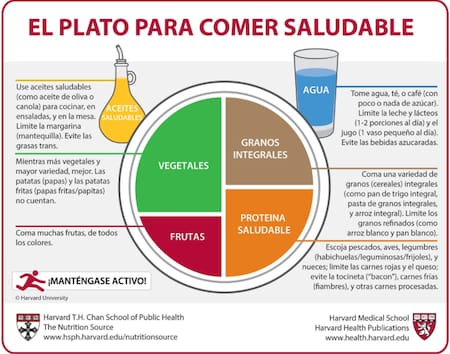 El plato para comer saludable de Harvard. Foto: X.