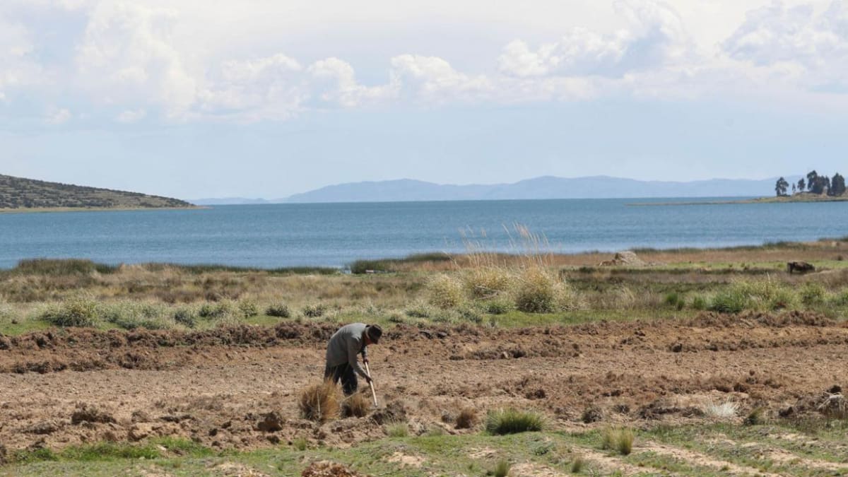 Lago Titicaca. Foto: EFE