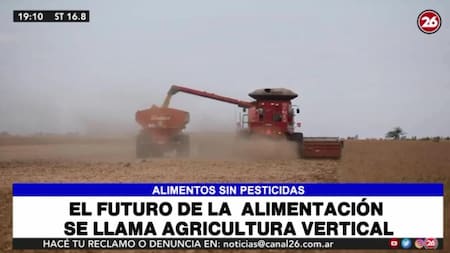 Agricultura vertical, el futuro de la alimentación - Canal 26