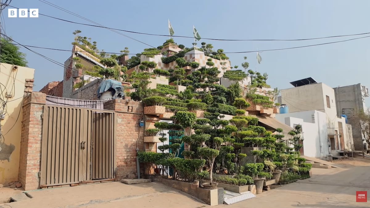 Pulmón verde; Pakistán; casa; hogar; plantas.