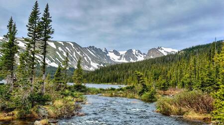 Rumbo a un desastre ecológico: los ríos se están calentando y perdiendo oxígeno