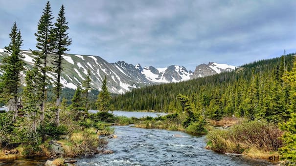 Rumbo a un desastre ecológico: los ríos se están calentando y perdiendo oxígeno
