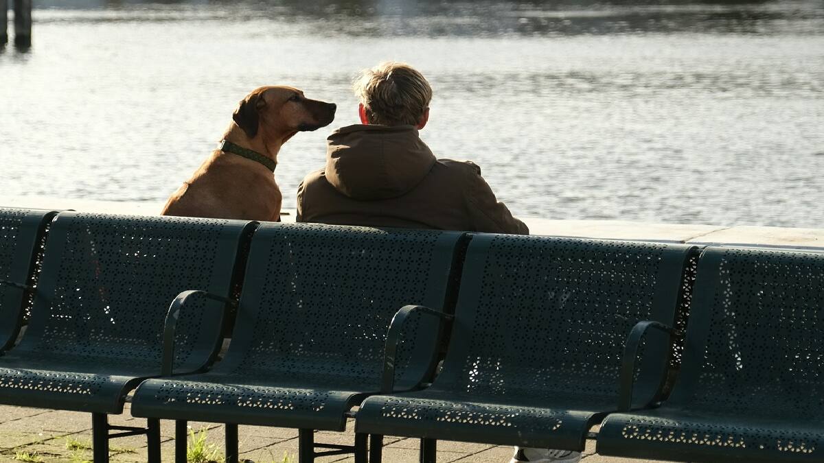 El método que usan los entrenadores para controlar el ladrido de los perros.