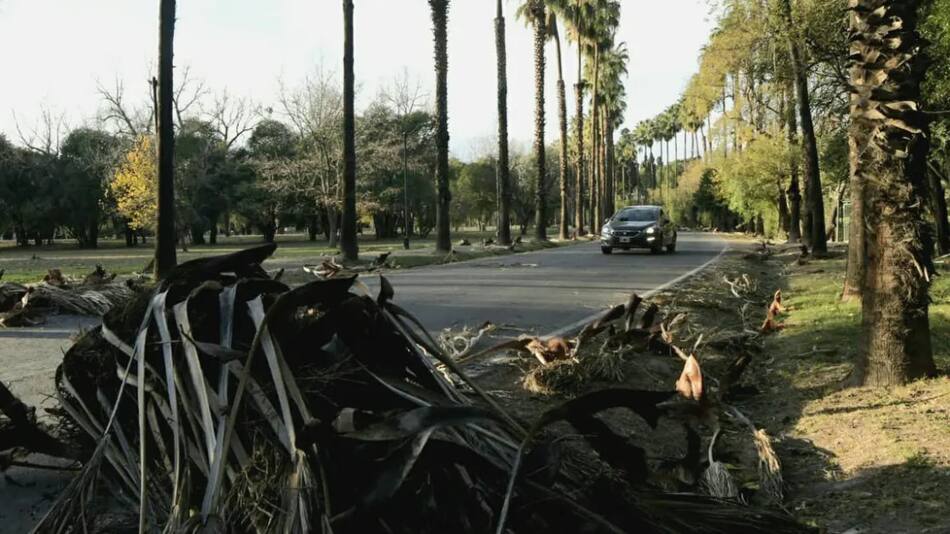 Daños por el viento zonda en Mendoza. Foto: Gentileza Los Andes.