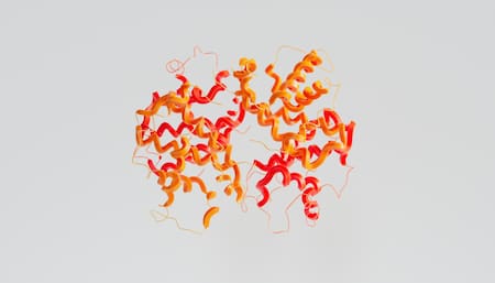 Proteínas. Foto: Unsplash