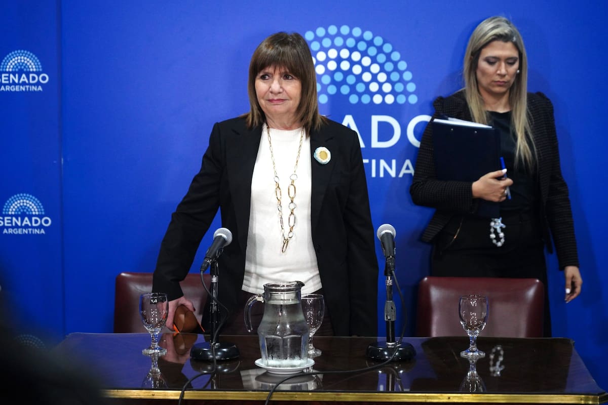 La jefa del bloque de LLA en el Senado afirmó que “es un acuerdo muy bueno para el país”
