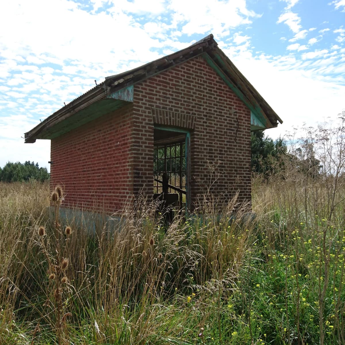 Tamangueyú