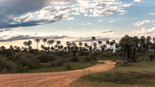 Turismo low cost en Parques Nacionales: cuánto valen las entradas tras confirmarse que no habrá aumento