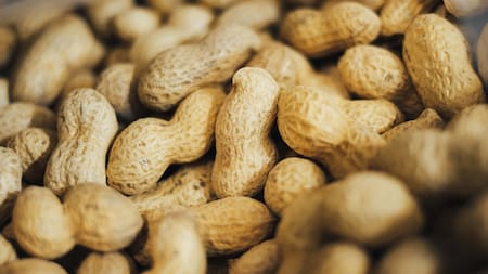 El consumo de maní ayuda a reducir los niveles alterados de colesterol. Foto: Unsplash.