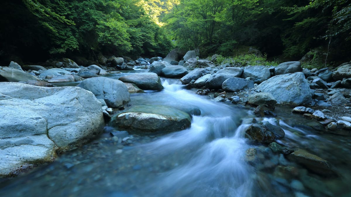 Se encuentra en Sudamérica: la mayor reserva de agua dulce del planeta que podría abastecer a la humanidad durante siglos