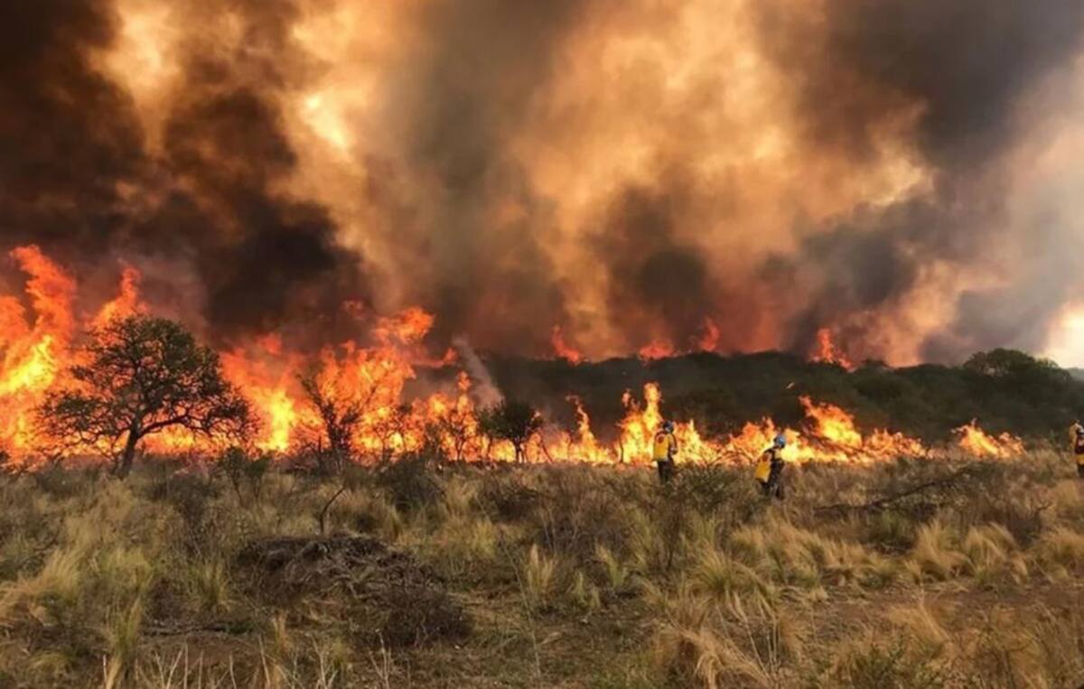 Incendios forestales en San Luis
