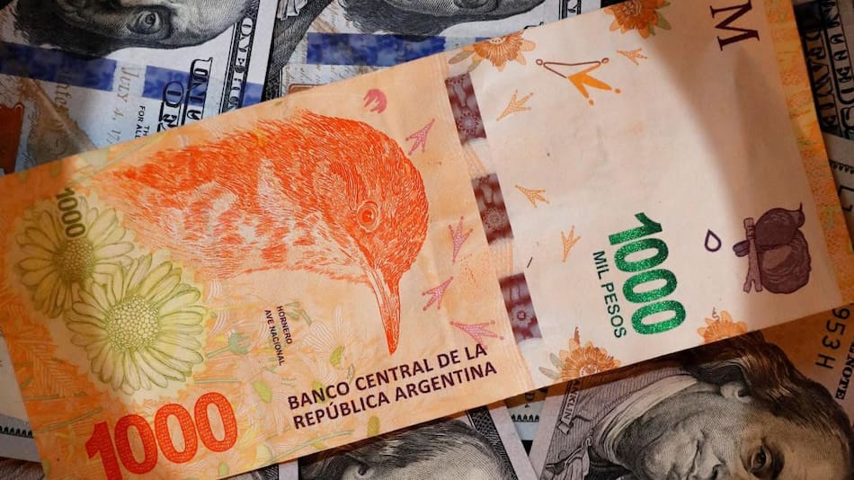 Billetes, pesos y dólares, NA