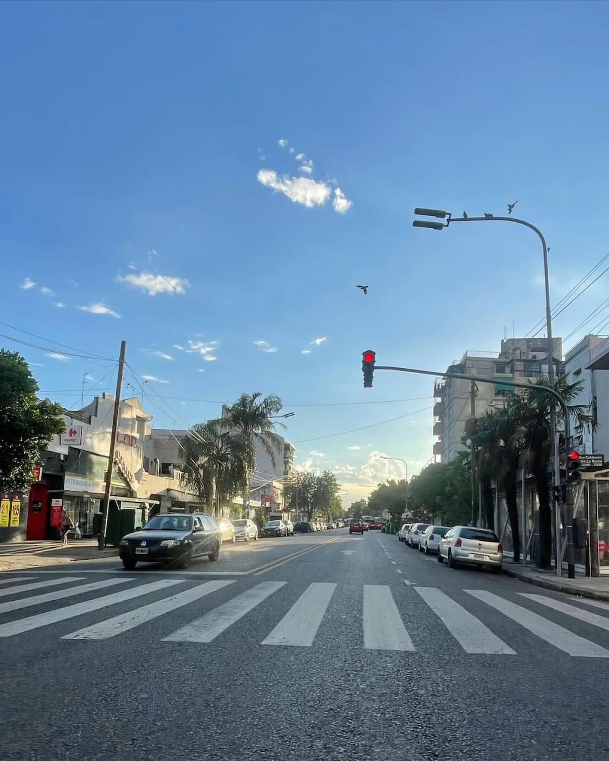 Villa Devoto, el "Jardín de la Ciudad". Foto: Instagram @devoto.ph