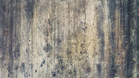 La mezcla que elimina las molestas manchas de humedad. Foto Unsplash.