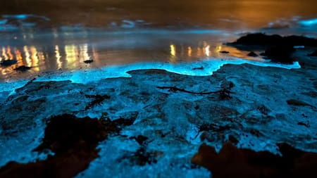 Olas fluorescentes. Foto: Noticias Ambientales.